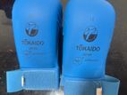 Karate Gloves Large (Blue)