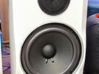 Karoake Professional Speaker system