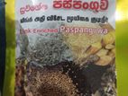 Kasaya Paspangu