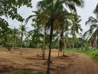 katana Land For sale