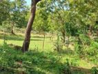 Kataragama Land for Sale