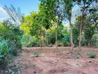 Kataragama Land for Sale