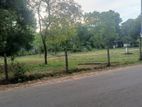 Katharagama 120 Perched Valuable Land for Sale
