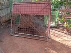 Iron Gates