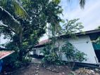 Katubada Singal Story House and Annex for Sale ( RHS- 744)