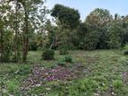 Katumuluwa, Kanaththewewa 86 Perches Land for Sale (SSPL-486)