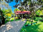 Katunayaka Nice & Beautiful Garden Has Single Story House For Sale