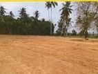 Katunayake : 600 Perches Land for Sale