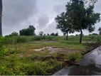 Katunayake 8 P Land for Sale ( @ Prime )