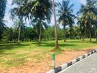 Katunayake High Valuable Land for Sale