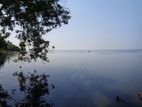 Katunayake Kurana Negombo Lagoon Land Close to Colombo Road for Sale