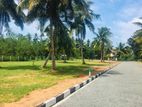 Katunayake Land for Sale