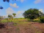 Katunayake - Land for sale