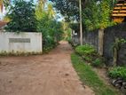 Katunayake Land for Sale