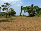 Katunayake - Land for sale