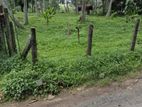 Katunayake - Land for sale