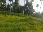 Katunayake Land for Sale