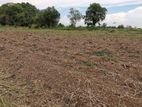 Katunayake Land for Sale