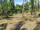Katunayake Land for Sale