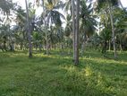 Katunayake Minuwangoda Katana main rd. land for sale warehouse factory