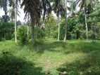 Katunayake Minuwangoda land facing main road for sale warehouse factory