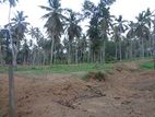 Katunayake Minuwangoda land with wide road for sale warehouse factory
