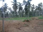 Katunayake Minuwangoda land with wide road for sale warehouse factory