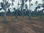 Katunayake Minuwangoda land with wide road for sale warehouse factory