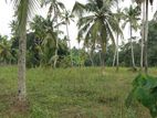 Katunayake Minuwangoda Land with Wide Road for Sale Warehouse Factory