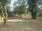 Katunayake Minuwangoda wide road land sale for warehouse yard store