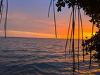 Katunayake, Negombo Lagoon Land on Sale near Airport facing Jaffna road