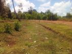 Katunayake Raddoluwa land with wide road for sale