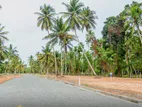 Katunayake Road Exclusive land plots For Sale Kimbulapitiya