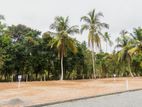 Katunayake Road Exclusive Land Plots for Sale Kimbulapitiya