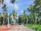 Katunayake Seeduwa Land for Sale