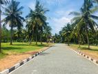 KATUNAYAKE Valuable Land For Sale