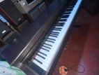 Kawai Japanese Digital Piano
