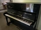 Kawai KU1B Piano