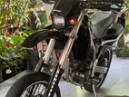 Kawasaki D Tracker 2024