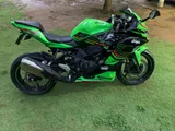 Kawasaki Ninja 2024