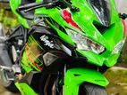 Kawasaki Ninja RR ZX KRT 2024