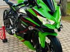 Kawasaki Z250 25RR 2021
