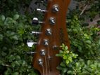 Kaysen Guitar