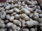 Peanuts