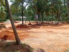 කදාන බටගම දොලහේන පාර පදිංචියට අගනා බිම් කොටස්