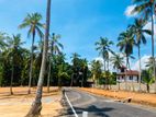 කදාන නගරයෙන්