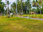 කඩිගමුව නේවාසික බිම් කොටස් විකිණීමට