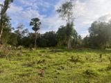 Land for Sale මහගල්කඩවල