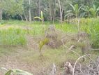 Land for Sale මොනරගල