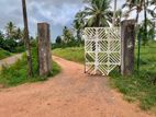 කඩුවෙල මල්වානෙන් ආදායම් ලබන වටිනා පොල් ඉඩමක් / HL 15067